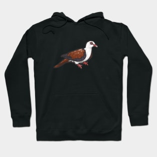 Great Cuckoo-Dove Hoodie